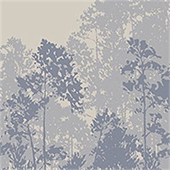 Acer Broadleaf